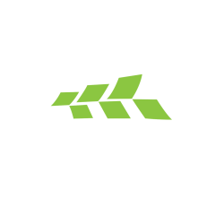 Rslash Ai Logo
