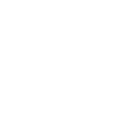 White Logo